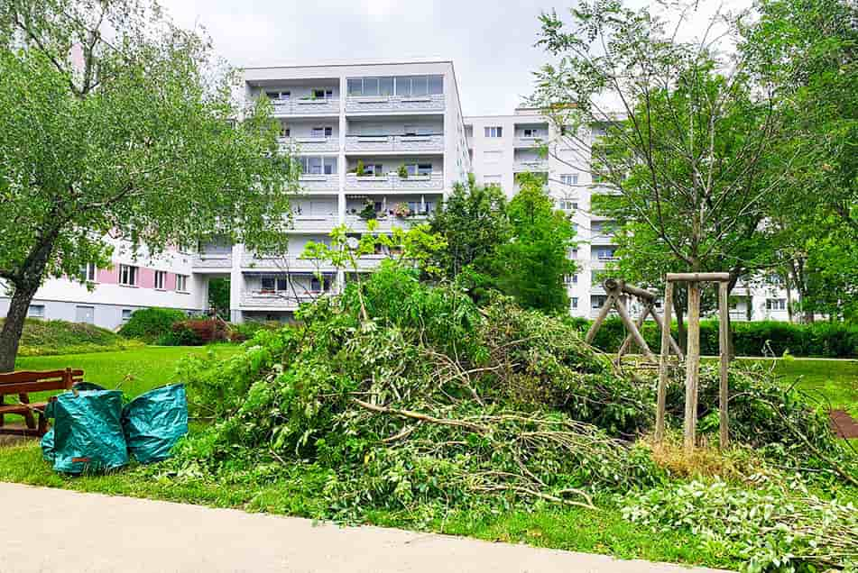 Gartenbetreuung Rasensprenger einrichten