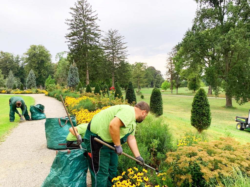 Gartenpflege Niederösterreich A.S.S.