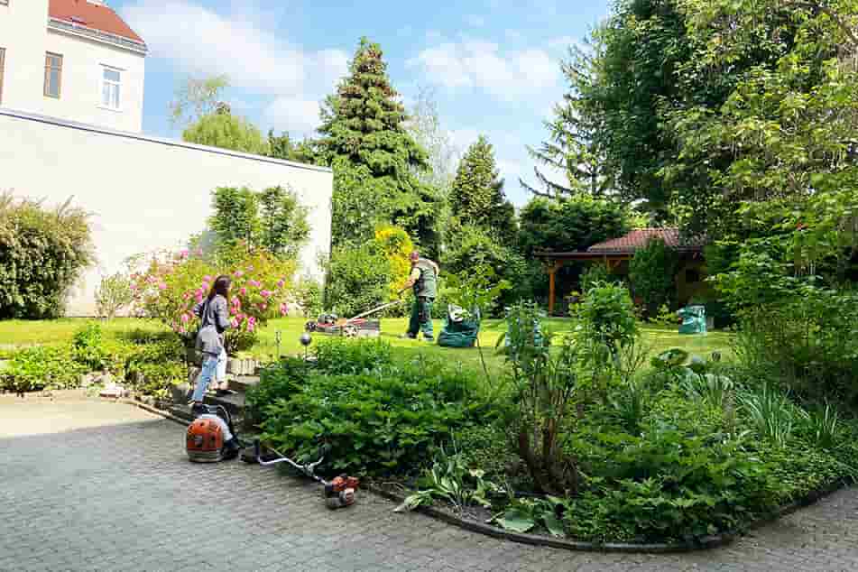Gartenpflege Rasenpflege Gärtnermeister A.S.S.