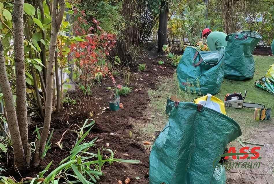 Blumenbeet pflegen Gartenservice