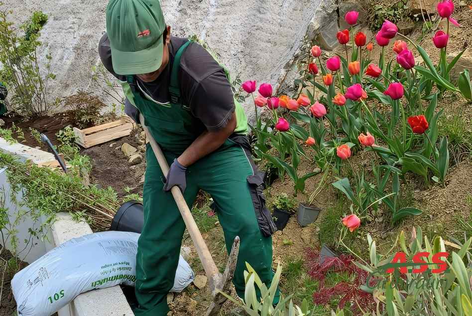 Hanglage-Terrassen-Mauern-Gärtnermeister-A.S.S.