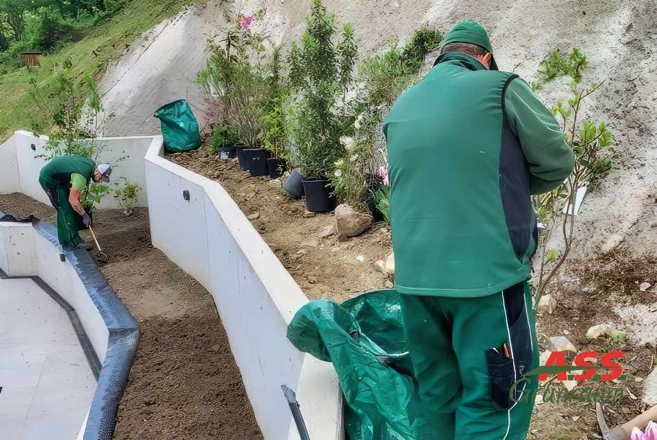 terrassierte-Beete-Neubepflanzung-A.S.S.