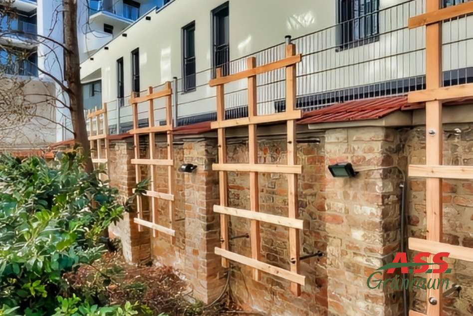 Historische Innenhofbegrünung Innenhofbegrünung mit Holzgitter für Kletterpflanzen