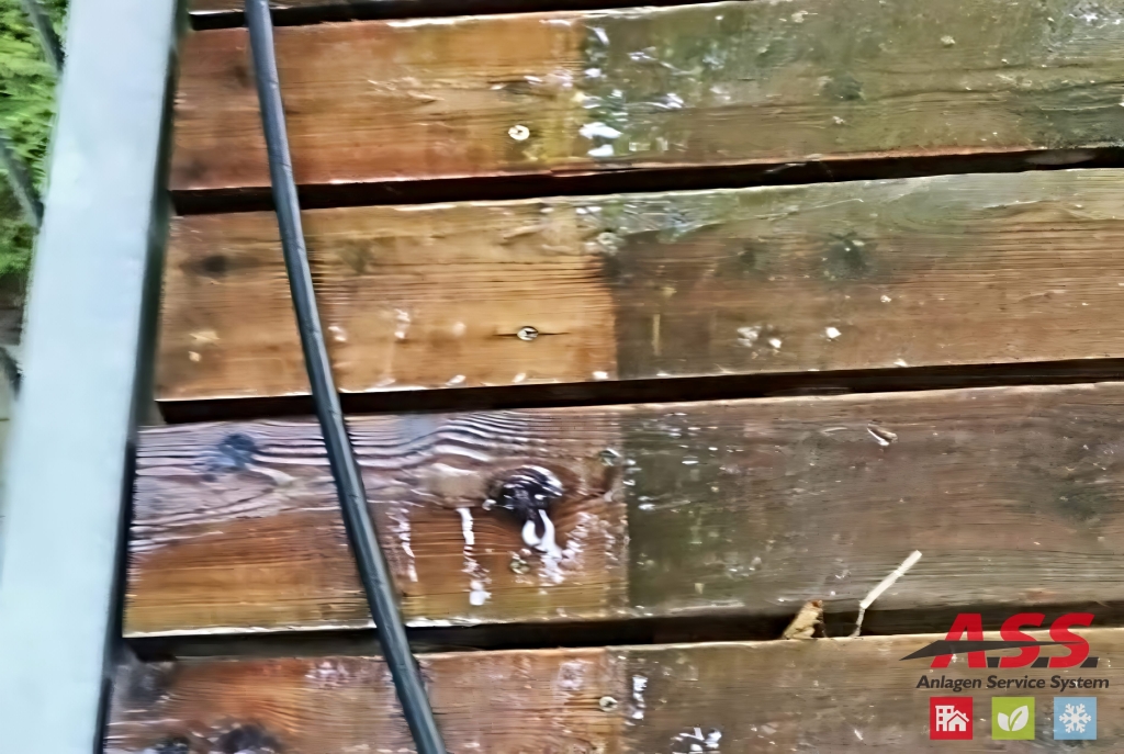 Zugang Außenbereich aus Holz reinigen