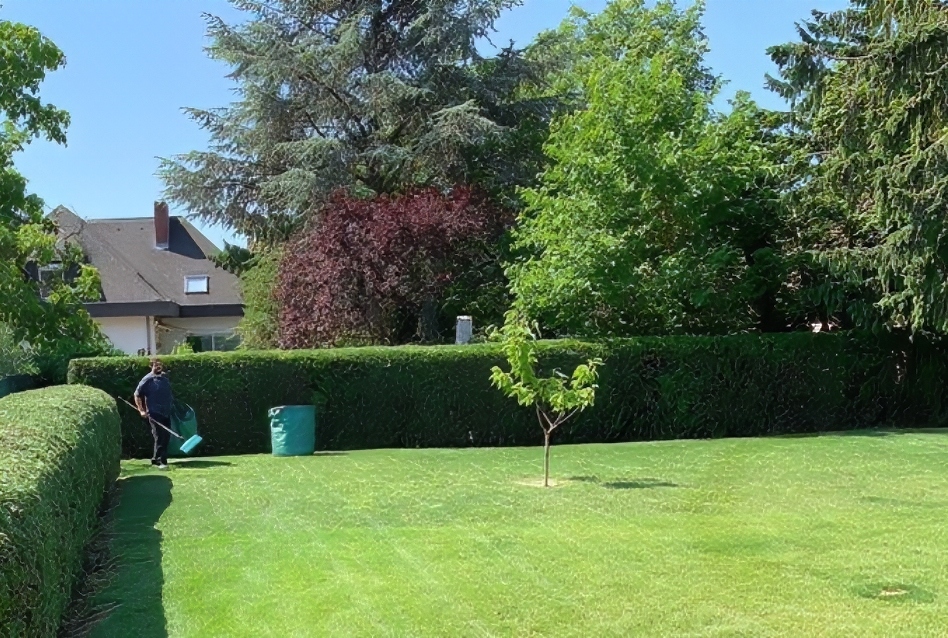 schnitt-baum-gärtner-wien-a.s.s. gartenarbeiter-baumschnitt-arbeit-a.s.s.