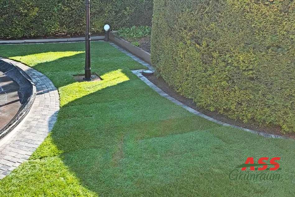 Rollrasen-neu-verlegt-wien-A.S.S Rollrasen-verlegt