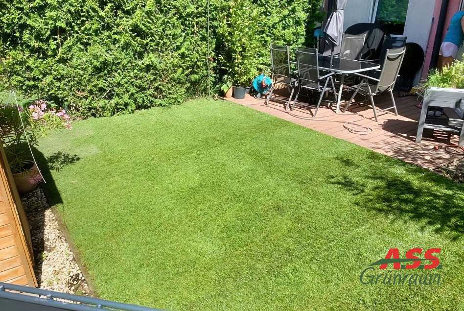 Rollrasen-neuverlegung-gaertner-A.S.S Rollrasen-kleiner-Garten