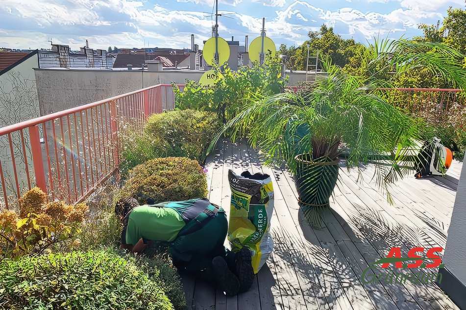 Terrasse neu gestalten-A.S.S.