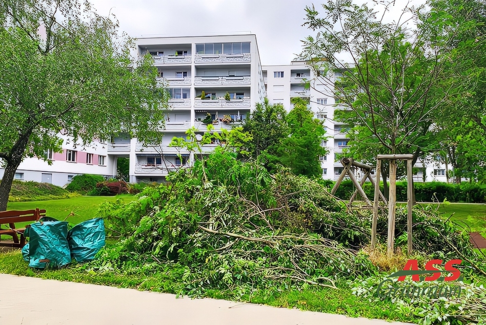 Gartenbetreuung Gartenservice Heckenschnitt