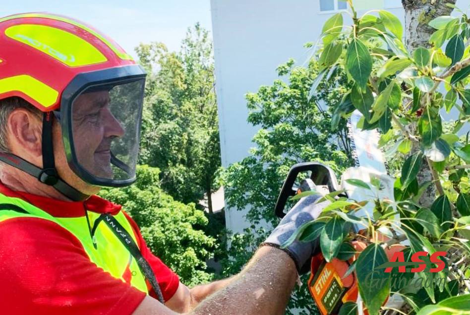 Baumschnitt-team-gärtner-A.S.S. Baumschnitt Wien Gärtner