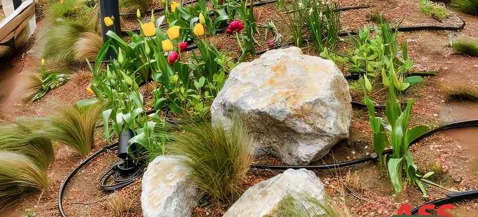 Tropfschläuche Beet Bewässerung