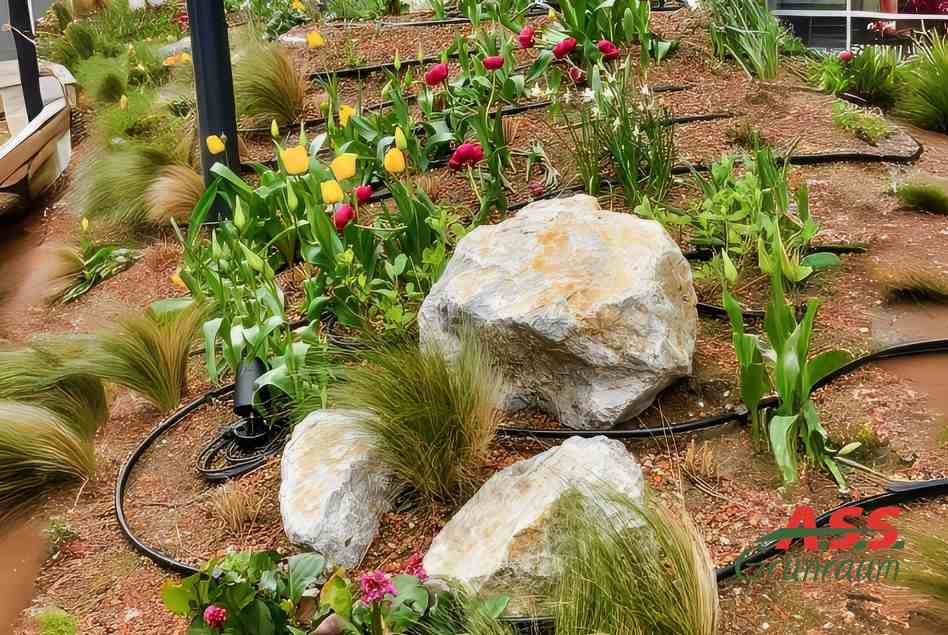 Bewässerung Tropfschläuche neu