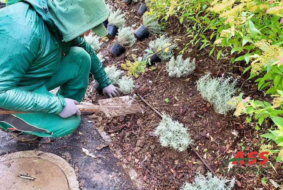 Rindenmulch Gartenbeet Gartenservice