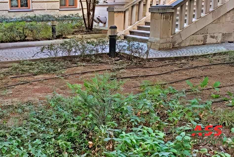 Gartenbewässerung Wien Gärtnermeister