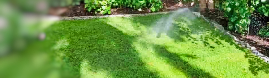 Neuverlegung Bewässerungsanlage Wien