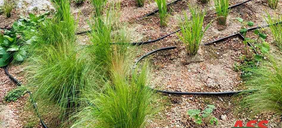 Hanglage Beet Bewässerungsanlage