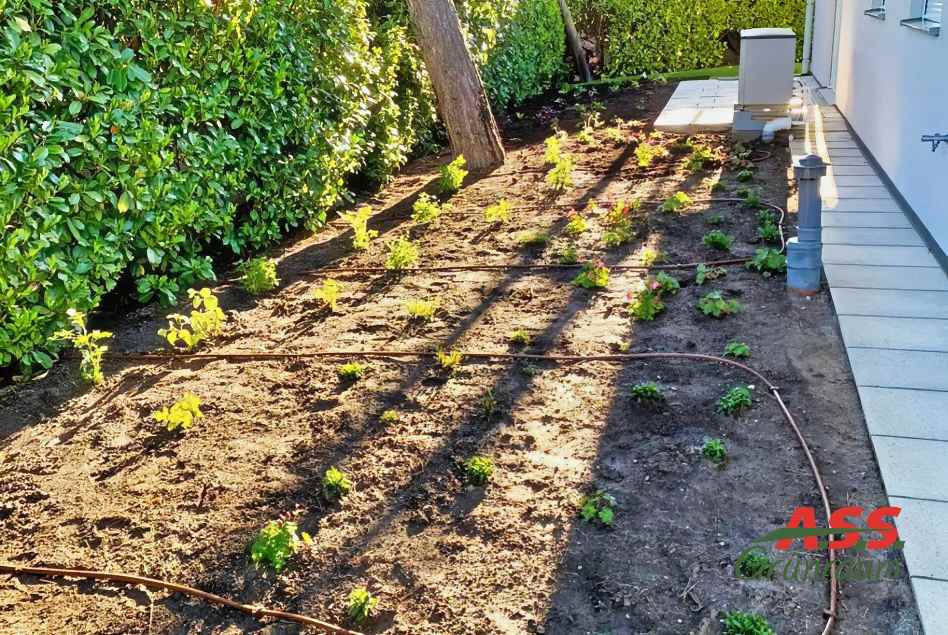 Verlegung von Bewässerungsschläuchen