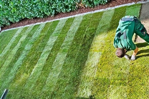 Rollrasen Verlegung Gärtnermeister