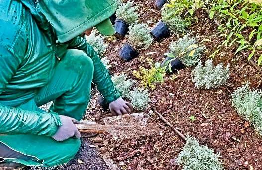 Spielplatzgestaltung_ASS