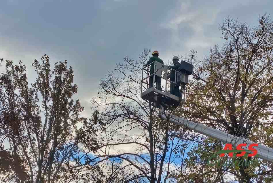 Äste-schneiden-in-großer-Höhe