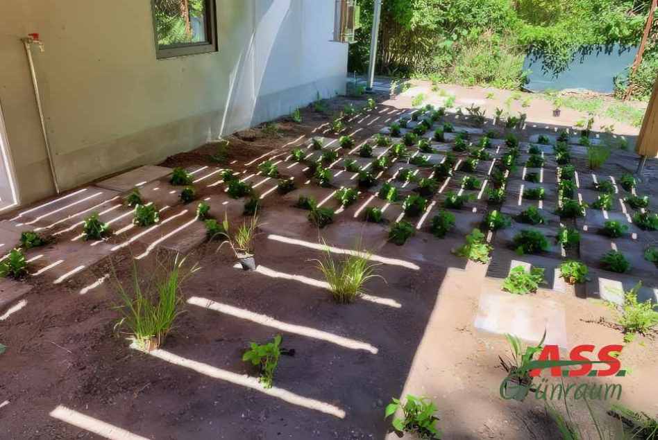 Garten-gestalten-Bodendecker-Schattenbereich