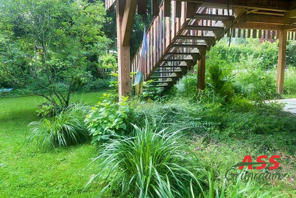 Gartengestaltung-Beete-anlegen-Rollrasen