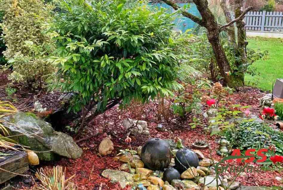 Gartengestaltung-Rindenmulch-Farben-im-Garten