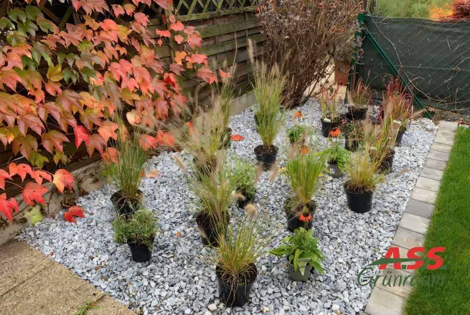 Garten-neu-Beet-neu-gestalten