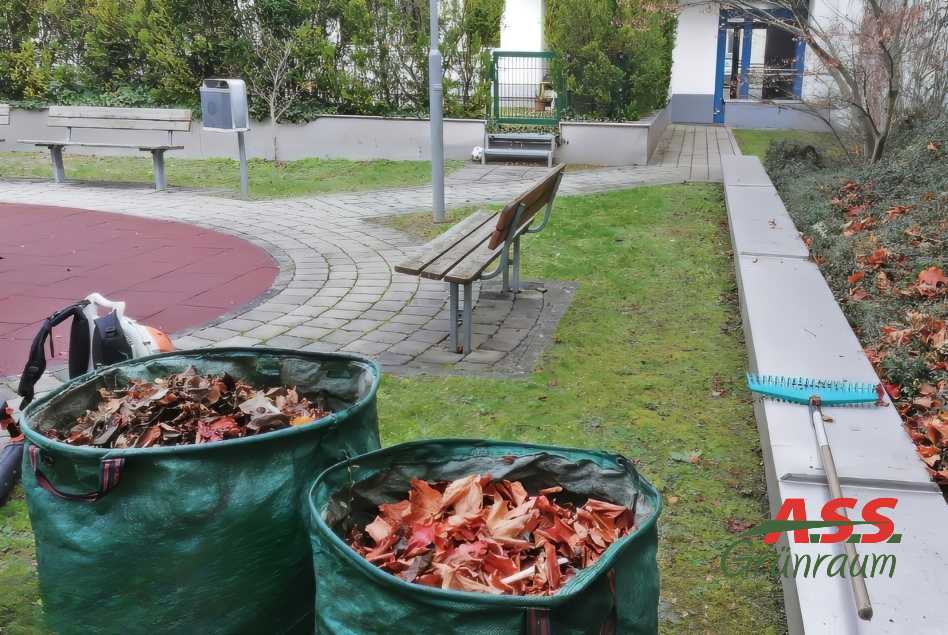 Laub-entfernen-Wien-Gärtnermeister Garten-pflegen-Laubentfernung-Wien