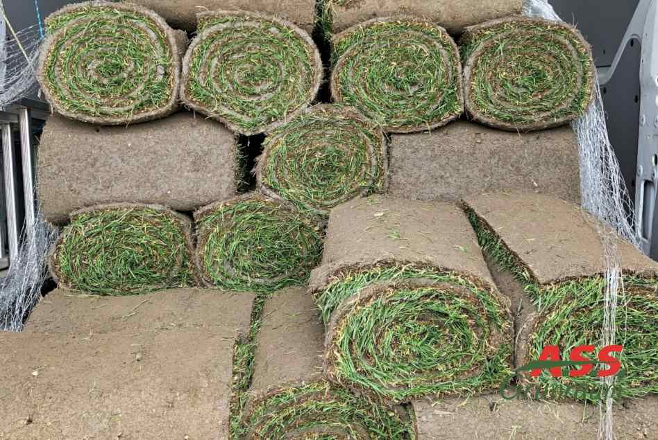 Rollrasen-vor-Verlegung