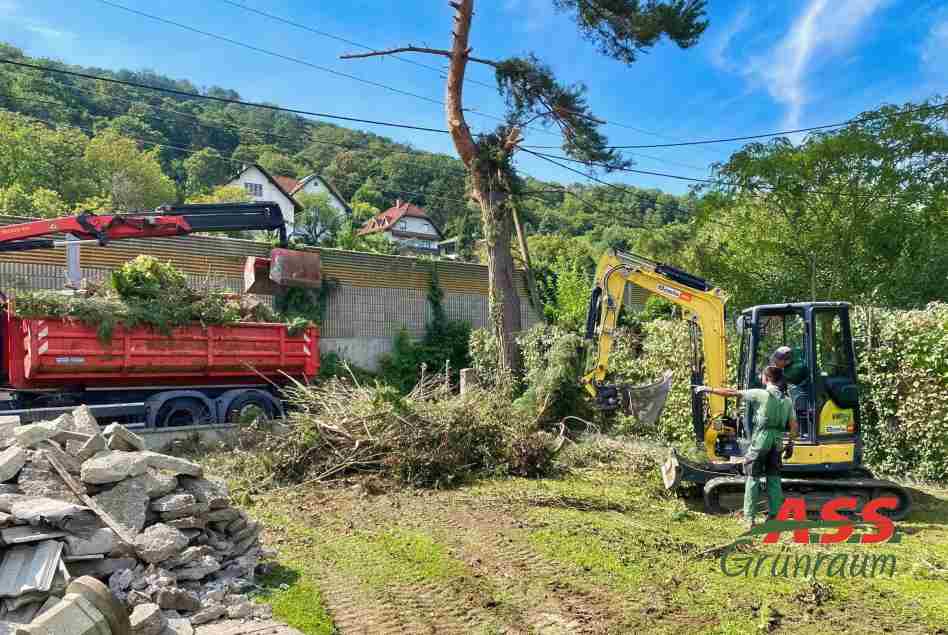 baumfällung-schnittgut-wohnhausanlage-wien-a.s.s.