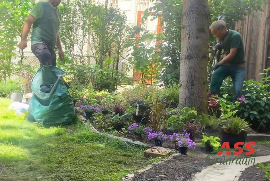 Innenhof-Wien-Garten-begrünt-A.S.S.