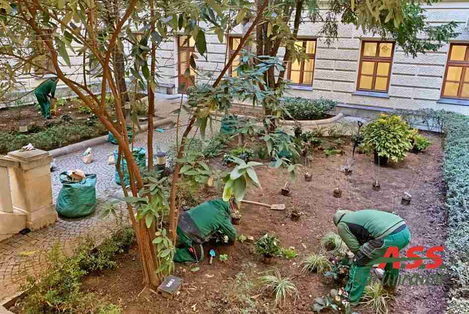 Bodenentsiegelung Innenhofbegrünung  A.S.S.