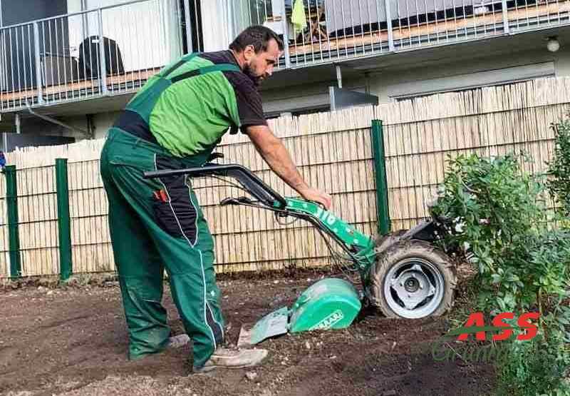 Boden-verbessern-Baumpflege