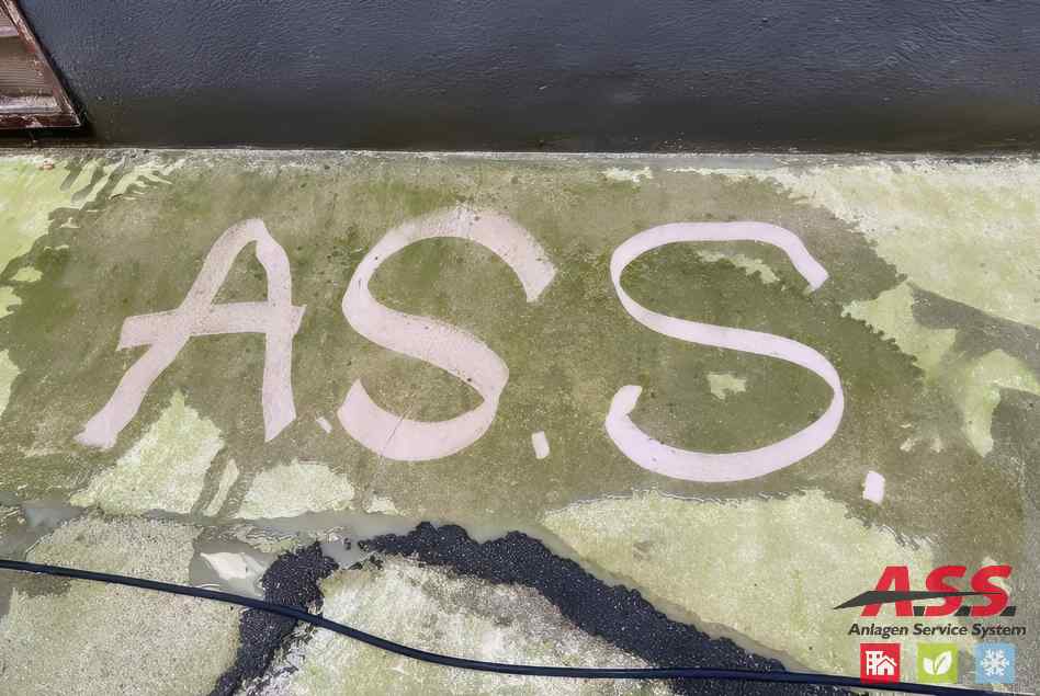 Innenhof-Reinigung-Moos